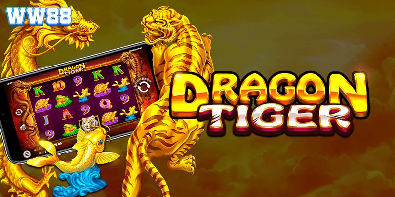 Các hình thức đặt cược thông dụng trong Dragon Tiger